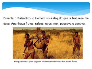 Durante o Paleolítico, o Homem vivia daquilo que a Natureza lhe 
dava. Apanhava frutos, raízes, ovos, mel, pescava e caçava. 
Bosquímanos – povo caçador recolector do deserto do Calaári, África 
 
