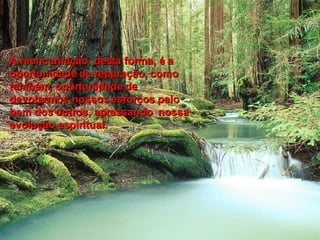 A reencarnação, desta forma, é a oportunidade de reparação, como também, oportunidade de devotarmos nossos esforços pelo bem dos outros, apressando  nossa evolução espiritual.   