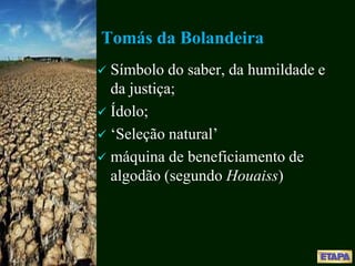 Tomás da Bolandeira
 Símbolo do saber, da humildade e
da justiça;
 Ídolo;
 ‘Seleção natural’
 máquina de beneficiamento de
algodão (segundo Houaiss)
 