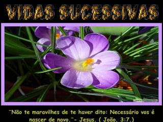 VIDAS SUCESSIVAS ¨Não te maravilhes de te haver dito: Necessário vos é nascer de novo.¨- Jesus. ( João, 3:7.) 