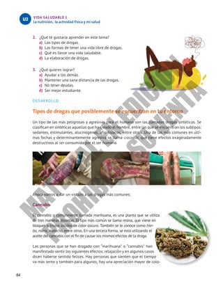 84
VIDA SALUDABLE 1
La nutrición, la actividad física y mi salud
U2
2.	 ¿Qué te gustaría aprender en este tema?
a)	 Los tipos de drogas.
b)	 Las formas de tener una vida libre de drogas.
c)	 Qué es llevar una vida saludable.
d)	 La elaboración de drogas.
3.	 ¿Qué quieres lograr?
a)	 Ayudar a los demás.
b)	 Mantener una sana distancia de las drogas.
c)	 No tener deudas.	
d)	 Ser mejor estudiante.
DESARROLLO
Tipos de drogas que posiblemente se encuentran en tu entorno
Un tipo de las más peligrosas y agresivas para el humano son las llamadas drogas sintéticas. Se
clasifican en sintéticas aquellas que ha creado el hombre, entre las que se encuentran los subtipos:
sedantes, estimulantes, alucinógenos, afrodisiacos, entre otros. Una de las más comunes en últi-
mas fechas y determinantemente agresiva se llama crocodile, que tiene efectos exageradamente
destructivos al ser consumido por el ser humano.
Ahora vamos a dar un vistazo a las drogas más comunes:
Cannabis
El cannabis o comúnmente llamada marihuana, es una planta que se utiliza
de tres maneras distintas. El tipo más común se llama resina, que viene en
bloques o trozos sólidos de color oscuro. También se le conoce como hier-
ba, maría, matacha, entre otros. En una tercera forma, se está utilizando el
aceite del cannabis con el fin de causar los mismos efectos de la droga.
Las personas que se han drogado con “marihuana” o “cannabis” han
manifestado sentir los siguientes efectos: relajación y en algunos casos
dicen haberse sentido felices. Hay personas que sienten que el tiempo
va más lento y también para algunos, hay una apreciación mayor de colo-
M
A
T
E
R
I
A
L
E
N
E
D
I
C
I
Ó
N
P
R
O
H
I
B
I
D
A
S
U
V
E
N
T
A
 