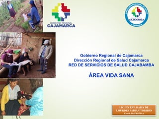 Gobierno Regional de Cajamarca
Dirección Regional de Salud Cajamarca
RED DE SERVICIOS DE SALUD CAJABAMBA
ÁREA VIDA SANA
LIC. EN ENF. DAISY DE
LOURDES FABIAN TORIBIO
Coord. De PROMSA
 