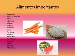 Alimentos importantes
- Cenouras
- Amoras silvestres
- Ovos
- Alperces
- Abacates
- Mangas
- Bananas
- Arroz
- Tomates
- Batatas
- Espinafres
- Framboesas
- Cerejas
- Peras
- Laranjas
- Melancias