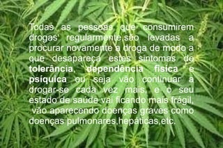 Todas as pessoas que consumirem
drogas regularmente,são levadas a
procurar novamente a droga de modo a
que desapareça estes sintomas de
tolerância, dependência fisíca e
psíquica ou seja vão continuar a
drogar-se cada vez mais, e o seu
estado de saúde vai ficando mais frágil,
vão aparecendo doenças graves como
doenças pulmonares,hepáticas,etc.
 