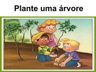 Plante uma árvore
 