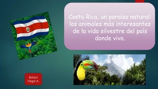 Costa Rica, un paraíso natural:
los animales más interesantes
de la vida silvestre del país
donde vivo.
Britani
Vega A.
 
