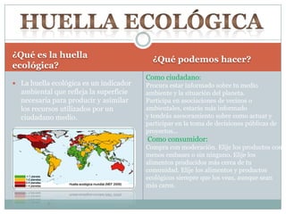 ¿Qué es la huella
ecológica?
¿Qué podemos hacer?
 La huella ecológica es un indicador
ambiental que refleja la superficie
necesaria para producir y asimilar
los recursos utilizados por un
ciudadano medio.
Como ciudadano:
Procura estar informado sobre tu medio
ambiente y la situación del planeta.
Participa en asociaciones de vecinos o
ambientales, estarás más informado
y tendrás asesoramiento sobre como actuar y
participar en la toma de decisiones públicas de
proyectos…
Como consumidor:
Compra con moderación. Elije los productos con
menos embases o sin ninguno. Elije los
alimentos producidos más cerca de tu
comunidad. Elije los alimentos y productos
ecológicos siempre que los veas, aunque sean
más caros.
 