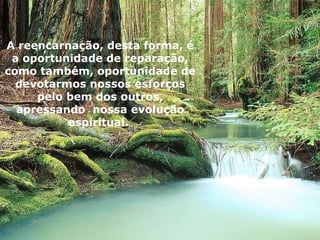 A reencarnação, desta forma, é a oportunidade de reparação, como também, oportunidade de devotarmos nossos esforços pelo bem dos outros, apressando  nossa evolução espiritual.   