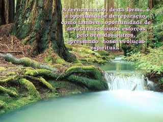 A reencarnação, desta forma, é a oportunidade de reparação, como também, oportunidade de devotarmos nossos esforços pelo bem dos outros, apressando  nossa evolução espiritual.  