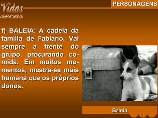 PERSONAGENSPERSONAGENS
f) BALEIA: A cadela daf) BALEIA: A cadela da
família de Fabiano. Vaifamília de Fabiano. Vai
sempre a frente dosempre a frente do
grupo, procurando co-grupo, procurando co-
mida. Em muitos mo-mida. Em muitos mo-
mentos, mostra-se maismentos, mostra-se mais
humana que os próprioshumana que os próprios
donos.donos.
BaleiaBaleia
 