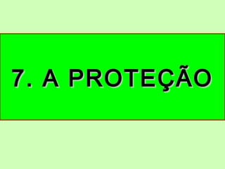7. A PROTEÇÃO7. A PROTEÇÃO
 