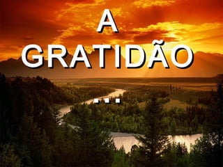 AA
GRATIDÃOGRATIDÃO
......
 