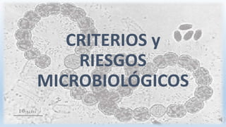 CRITERIOS y
RIESGOS
MICROBIOLÓGICOS
 