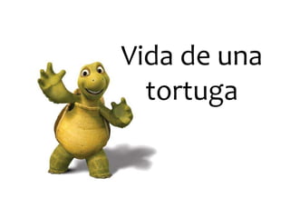 Vida de una
  tortuga
 