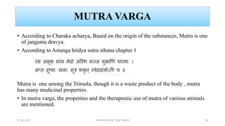 MUTRA VARGA
• According to Charaka acharya, Based on the origin of the substances, Mutra is one
of jangama dravya.
• According to Astanga hridya sutra sthana chapter 1
Mutra is one among the Trimala, though it is a waste product of the body , mutra
has many medicinal properties.
• In mutra varga, the properties and the therapeutic use of mutra of various animals
are mentioned.
02-02-2023 DRAVYA VARGA- VIDA VARGA 18
 