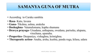 SAMANYA GUNA OF MUTRA
• According to Caraka samhita
• Rasa- Katu, lavana
• Guna- Tikshna, ushna, aruksha
• Doshaghna- Vatanulomana, kapha shamana
• Dravya prayoga- Utsadana, asthapana, swedana, pariseka, alepana,
virechana, upanaha.
• Properties- Deepaniya, vishaghna, krimighna.
• Therapeutic action- Anaha, arsha, kushta, pandu roga, kilasa, udara
02-02-2023 DRAVYA VARGA- VIDA VARGA 20
 