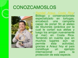 CONOZCAMOSLOS
Randall Arauz, Costa Rica:
Biólogo y conservacionista
especializado en tortugas,
encabezó una campaña
capaz de poner fin al aleteo
de tiburones (práctica por la
cual le cortan sus aletas y
luego los arrojan nuevamente
al mar) en Costa Rica.
Teniendo en cuenta que en
muchos lugares aún se
permite esta actividad,
gracias a Arauz hoy el país
constituye un ejemplo
internacional para la
protección de esta especie.
 