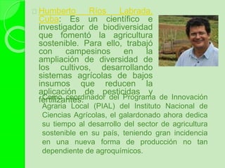Humberto Ríos Labrada,
Cuba: Es un científico e
investigador de biodiversidad
que fomentó la agricultura
sostenible. Para ello, trabajó
con campesinos en la
ampliación de diversidad de
los cultivos, desarrollando
sistemas agrícolas de bajos
insumos que reducen la
aplicación de pesticidas y
fertilizantes.Como coordinador del Programa de Innovación
Agraria Local (PIAL) del Instituto Nacional de
Ciencias Agrícolas, el galardonado ahora dedica
su tiempo al desarrollo del sector de agricultura
sostenible en su país, teniendo gran incidencia
en una nueva forma de producción no tan
dependiente de agroquímicos.
 