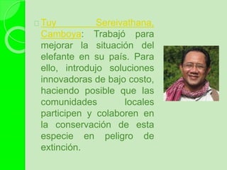 Tuy Sereivathana,
Camboya: Trabajó para
mejorar la situación del
elefante en su país. Para
ello, introdujo soluciones
innovadoras de bajo costo,
haciendo posible que las
comunidades locales
participen y colaboren en
la conservación de esta
especie en peligro de
extinción.
 