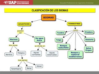 CLASIFICACIÓN DE LOS BIOMAS
 