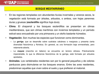 BOSQUE MEDITARRÁNEO
• En las regiones templadas con abundantes lluvias invernales y veranos secos, la
vegetación está formada por árboles, arbustos, o ambos, con hojas perennes
duras y gruesas (esclerófilo significa hoja dura).
• Clima. El chaparral y los bosques esclerófilos se presentan en climas
mediterráneos, que son climas marítimos con inviernos templados y un período
estival seco encuadrado por una primavera y un otoño bastante húmedos.
• Vegetación. Son muchas las especies que funcionan como dominantes.
– La garriga, que se desarrolla sobre sustratos calcáreos o margosos y presenta cierta
diversidad fisionómica y florística. En general, es una formación baja enmarañada, pero
netamente abierta.
– La maquia (macchia en italiano) se encuentra en terreno silíceos. Prácticamente
impenetrable, lo que la diferencia fisionómica de la garriga, está formada por arbustos
apretados.
• Animales. Los vertebrados residentes son por lo general pequeños y de colores
parduzcos para disimularse en los bosques enanos. Entre las aves residentes,
predominan aquellas que viven sobre el suelo y que prefieren el matorral.
 