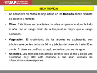 SELVA TROPICAL
• Se encuentra en zonas de baja altitud en los trópicos donde siempre
es caliente y húmedo.
• Clima. Este bioma se caracteriza por altas temperaturas durante todo
el año, con un rango diario de la temperatura mayor que el rango
estacional.
• Vegetación. El crecimiento de los árboles es exuberante, con
árboles emergentes de hasta 60 m y árboles del dosel de hasta 30 m
o más. El dosel es contínuo excepto sobre los cuerpos de agua.
• Animales. Los animales son activos durante todo el año y existe una
diversidad muy alta; esto conduce a que sean intensas las
interacciones entre especies.
 