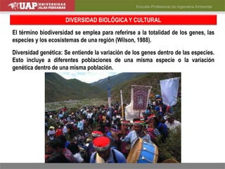 DIVERSIDAD BIOLÓGICA Y CULTURAL
El término biodiversidad se emplea para referirse a la totalidad de los genes, las
especies y los ecosistemas de una región (Wilson, 1988).
Diversidad genética: Se entiende la variación de los genes dentro de las especies.
Esto incluye a diferentes poblaciones de una misma especie o la variación
genética dentro de una misma población.
 