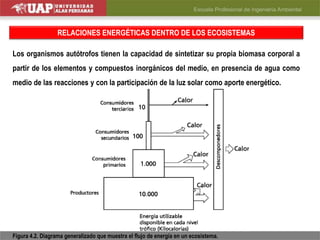 RELACIONES ENERGÉTICAS DENTRO DE LOS ECOSISTEMAS
Los organismos autótrofos tienen la capacidad de sintetizar su propia biomasa corporal a
partir de los elementos y compuestos inorgánicos del medio, en presencia de agua como
medio de las reacciones y con la participación de la luz solar como aporte energético.
Figura 4.2. Diagrama generalizado que muestra el flujo de energía en un ecosistema.
 