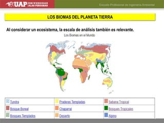 LOS BIOMAS DEL PLANETA TIERRA
Al considerar un ecosistema, la escala de análisis también es relevante.
 