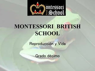 MONTESSORI BRITISH
SCHOOL
Reproducción y Vida
Grado décimo
 