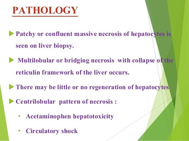 PATHOLOGY
ïµ Patchy or confluent massive necrosis of hepatocytes is
seen on liver biopsy.
ïµ Multilobular or bridging necros...