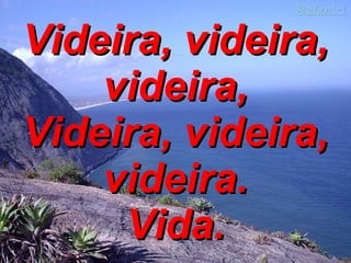 Videira, videira, videira, Videira, videira, videira. Vida. 
