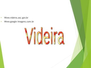 ●
Www.videira.asc.gov.br
●
Www.google imagens.com.br
 