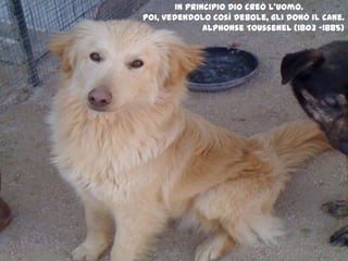 In principio Dio creò l’uomo.Poi, vedendolo così debole, gli donò il cane.AlphonseToussenel (1803 -1885)
