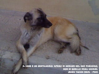 Il cane è un gentiluomo. Spero di andare nel suo paradiso, non in quello degli uomini.Mark Twain (1835 – 1910)