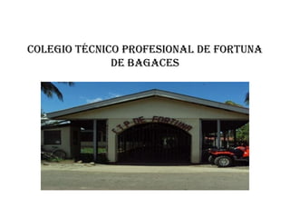 COLEGIO TÉCNICO PROFESIONAL DE FORTUNA
DE BAGACES

 