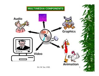 Video In Multimedia Video | PDF