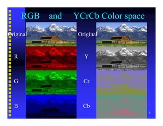 Video Compression Basics