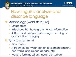 Morphology (word structure) Morphemes  Inflections that have grammatical information Suffixes and prefixes that change meaning or grammatical category Syntax (grammar) Word order Agreement between sentence elements (nouns and verbs, articles and gender, etc.) Ways to form questions, negate assertions , etc. 