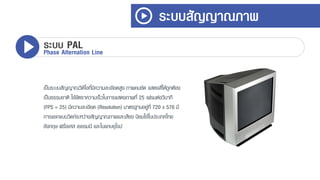 เป็นระบบสัญญำณวิดีโอที่มีควำมละเอียดสูง ภำพคมชัด แสดงสีได้ถูกต้อง
เป็นธรรมชำติ ใช้อัตรำควำมเร็วในกำรแสดงภำพที่ 25 เฟรมต่อวินำที
(FPS = 25) มีควำมละเอียด (Resolution) มำตรฐำนอยู่ที่ 720 x 576 มี
กำรแยกแบนวิดท์ระหว่ำงสัญญำณภำพและเสียง นิยมใช้ในประเทศไทย
อังกฤษ ฝรั่งเศส เยอรมนี และในแถบยุโรป
ระบบสัญญาณภาพ
ระบบ PALPhase Alternation Line
 