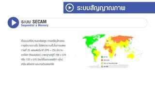 เป็นระบบที่มีควำมละเอียดสูง กำรเคลื่อนไหวของ
ภำพมีควำมรำบรื่น ใช้อัตรำควำมเร็วในกำรแสดง
ภำพที่ 25 เฟรมต่อวินำที (FPS = 25) มีควำม
ละเอียด (Resolution) มำตรฐำนอยู่ที่ 768 x 576
หรือ 720 x 576 นิยมใช้ในแถบแอฟริกำ ยุโรป
เหนือ ฝรั่งเศส และบำงส่วนของกรีซ
ระบบสัญญาณภาพ
ระบบ SECAMSequential a Memory
 