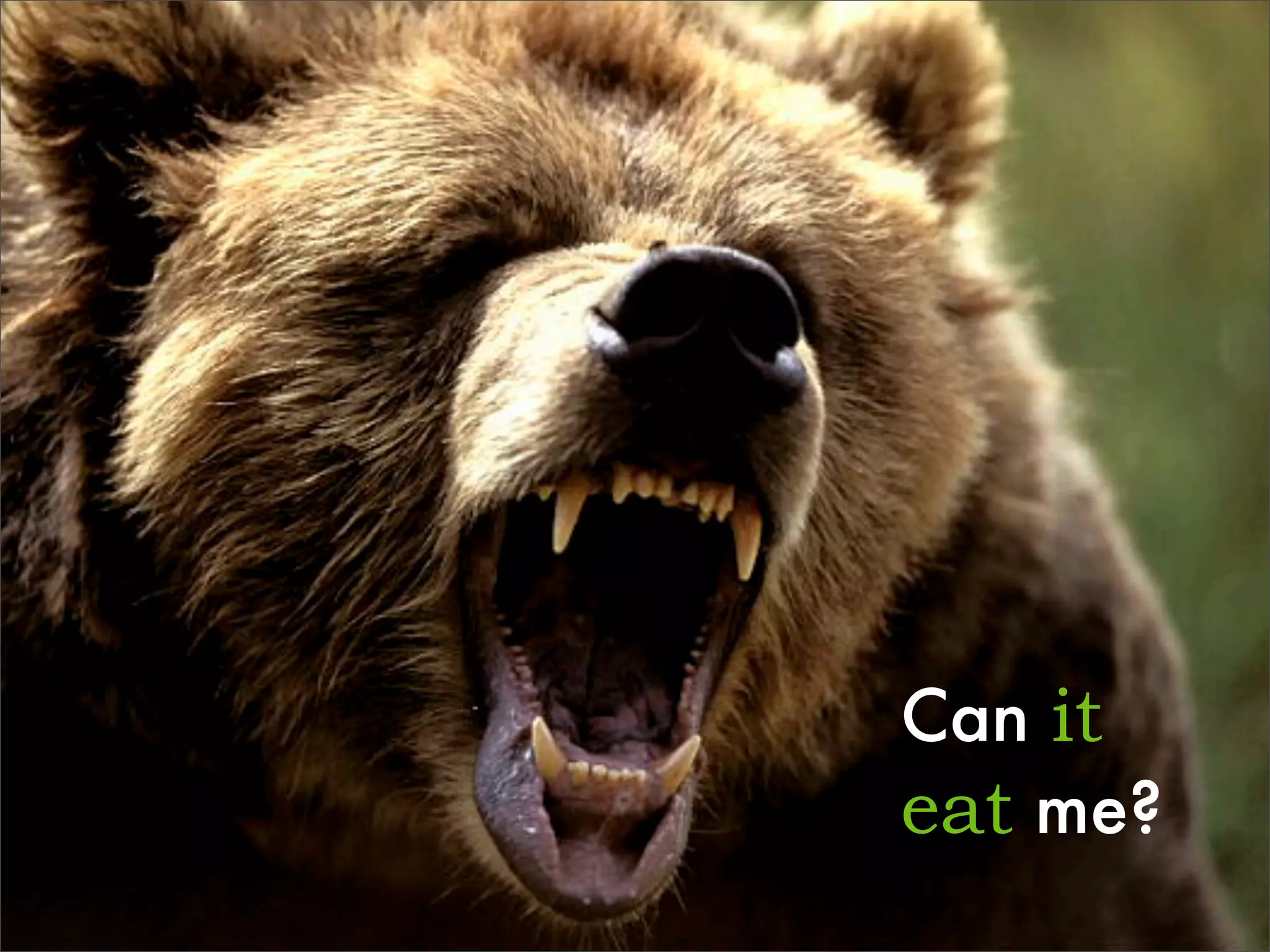 Video Games For TIES 2008