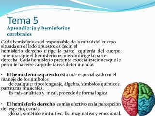 Tema 5
Aprendizaje y hemisferios
cerebrales
Cada hemisferio es el responsable de la mitad del cuerpo
situada en el lado opuesto: es decir, el
hemisferio derecho dirige la parte izquierda del cuerpo,
mientras que el hemisferio izquierdo dirige la parte
derecha. Cada hemisferio presenta especializaciones que le
permite hacerse cargo de tareas determinadas
• El hemisferio izquierdo está más especializado en el
manejo de los símbolos
de cualquier tipo: lenguaje, álgebra, símbolos químicos,
partituras musicales.
Es más analítico y lineal, procede de forma lógica.
• El hemisferio derecho es más efectivo en la percepción
del espacio, es más
global, sintético e intuitivo. Es imaginativo y emocional.
 