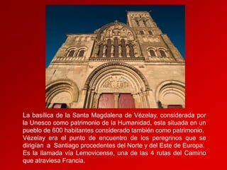 La basílica de la Santa Magdalena de Vézelay, considerada por
la Unesco como patrimonio de la Humanidad, esta situada en un
pueblo de 600 habitantes considerado también como patrimonio.
Vézelay era el punto de encuentro de los peregrinos que se
dirigían a Santiago procedentes del Norte y del Este de Europa.
Es la llamada vía Lemovicense, una de las 4 rutas del Camino
que atraviesa Francia.

 
