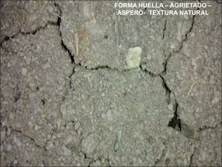 ELEMENTOS
GRAFICOS
PUNTO
LINEA
Punto
Geométrico
Punto
abstracto
Punto de
fuga
Punto
invisible
Punto central
geométrica
poligonal
Quebradas
angulares
curvas
vertical horizontal diagonal
45” 90” 115”
lineales geométricas
Sin volumen, ni
área
Serie de
puntos
Dirección en el
espacio
Cuerpo físico visible,
sin condiciones de luz
En el centro
del plano
FORMA HUELLA – AGRIETADO –
ASPERO- TEXTURA NATURAL
 