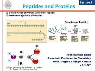 Peptides and Proteins
Prof. Rakesh Singh
Associate Professor in Chemistry
Govt. Degree College Kathua
J&K, UT
Lecture 1
 Determination of Primary structure of Peptides
 Methods of Synthesis of Peptides
Methods of synthesis of synthesis of
 