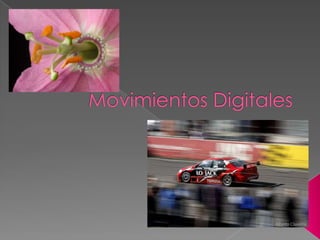 Escala o zoom digital Las cámaras digitales permiten realizar el zoom digital, el cual, consiste en una ampliación de la imagen para lograr cubrir todo el plano con una porción más pequeña del rayo focal proyectado por la lente. En la mayoría de los casos produce pixelación, sin embargo, en algunas cámaras de alta resolución, con sensores de más pixeles que el tamaño final de imagen, puede realizar un movimiento de zoom digital sin pérdida de calidad. A diferencia del zoom óptico, que comprime los objetos, la escala digital simplemente agranda la imagen o revela detalles a medida de la utilización de pixeles nuevos en el sensor.Desplazamiento o estabilización del sensor de imagen: El sensor de la cámara se mueve sin cambiar la posición de la misma, este movimiento actúa como un leve traveling, sin embargo, no es exactamente lo mismo pues el sensor de imagen se mueve dentro del rayo focal del lente sin cambiar la perspectiva de mirada.