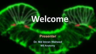 Welcome
Presenter
Dr. Md Imran Waheed
MS Anatomy
 