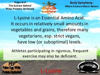 Video 8 of 
The Science Behind 
Paleo Proteins Perfected 
Body Symphony: 
Where Science Meets Nature 
L-Lysine is an Essential Amino Acid. 
It occurs in relatively small amounts in 
vegetables and grains, therefore many 
vegetarians, esp. strict vegans, 
have low (or suboptimal) levels. 
Athletes participating in rigorous, frequent 
exercise may also be deficient. 
L-Lysine 
 