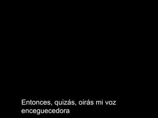 Entonces, quizás, oirás mi voz enceguecedora 